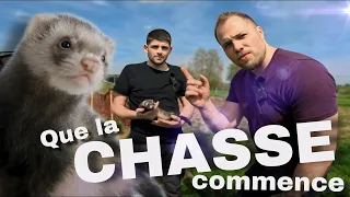 On chasse les RATS avec des FURETS (feat Miehlé Nuisibles)