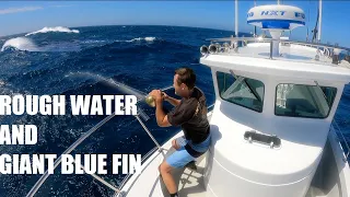 Fishing for HUGE BLUE FIN TUNA 70 MILES OFFSHORE with the NOMAD Mad Mac