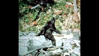 Investigative reporter tells the details of the Bigfoot hoax, part 1.