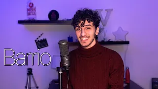 Barrio - Mahmood (Cover by Vincent Belfiore)