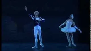 Les Ballets Trockadero de Monte Carlos Swan Lake act II