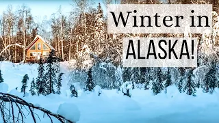 A Day in our Life ❄️ Winter in Alaska! + Riding the Dog Sleds!