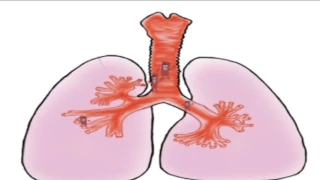 spot tv  sensibilisation sur la transmission de la Tuberculose pulmonaire 2012