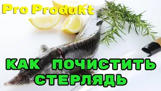 Как чистить стерлядь