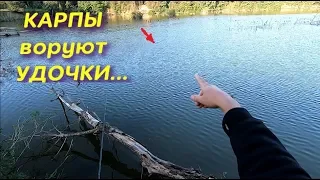 КАРПЫ ВОРУЮТ УДОЧКИ. НОЧНАЯ ловля КАРПА на СВЕТЯЩИЙСЯ ПОПЛАВОК.