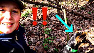 Taking My Puppy SQUIRREL HUNTING For The First Time!!! |Squirrel Hunting With A Mountain Fiest|