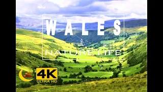 Wales 4K - Flying over Wales. Amazing nature world, calming music stress relief🌼11