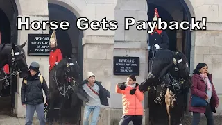 King's Horse Gets Payback On Tourists Bites!!