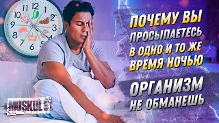 Почему вы просыпаетесь в одно и то же время ночью: организм не обманешь