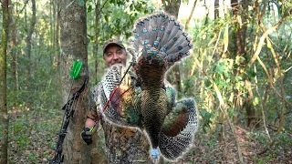 Oscilated Jungle Turkey, Bow Kill,  My First Ever