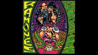 Ramones - Acid Eaters (1993) Somebody To Love (Original by the Great Society)