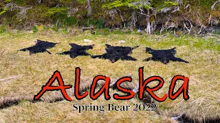 Epic Alaskan Bear Hunt Part 1