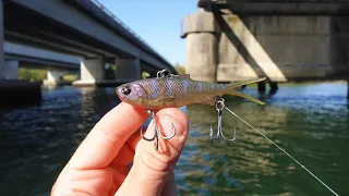 Crazy Fishing Under Busy Highway!?!