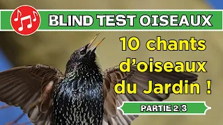 BLIND TEST n°2 - 10 chants d'oiseaux à reconnaître (Jardins - partie 2)
