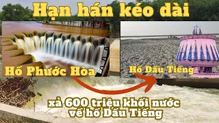 hồ dầu Tiếng tiếp nhận 600 triệu khối nước từ hồ Phước Hòa mùa cạn này 2024