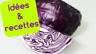 Recettes faciles et comment cuisiner le CHOU ROUGE ?