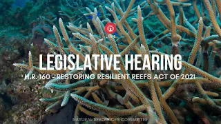 WOW Legislative Hearing - Restoring Resilient Reefs Act