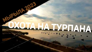 ОХОТА НА ТУРПАНА В ЯКУТИИ, МЫРЫЛА 2023