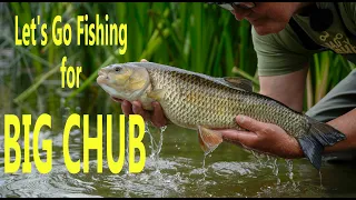Let's Go Fishing with Chris Ponsford. Episode 1. Big Chub on Budget Baits.