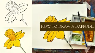 How to draw a Daffodil. Quick and easy beginners drawing tutorial. Using ellipses in flower drawing.