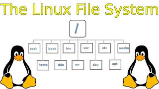 The Linux File Structure Explained