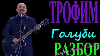 Трофим Голуби разбор / Голуби Трофим разбор / на гитаре / аккорды / бой