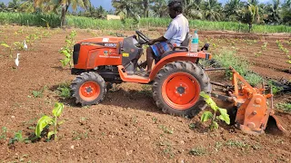 Kubota B2441 mini Tractor  / Rotary Tiller performance / Specifications & price