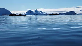 Antarctique Stéph 91
