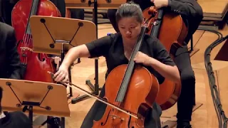 Liang Wern Fook Medley 梁文福精选组曲 - Asian Cultural Symphony Orchestra 亚洲文化乐团