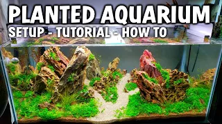 NEW DRAGONSTONE PLANTED AQUARIUM SETUP & TUTORIAL FOR BEGINNERS