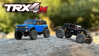 Traxxas Trx4M vs Injora Trantula buggy (Is it Worth the swap?)