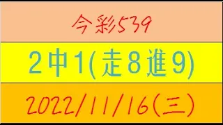 今彩539 『2中1(走8進9)』【2022年11月16日(三)】肉包先生