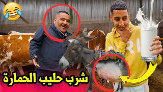 نيبا تصالح مع الحاج بغاو يقادو ليه سكر في لخر شربوه حليب لحمارة 🤣🐴