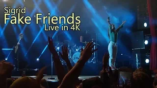 Sigrid - Fake Friends (Live at Roskilde 2018 in 4K)