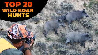 Top 20 Wild Boar Hunting Compilation - En İyi 20 Domuz Avı - Caçada De Javali