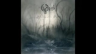 OPETH - The Drapery Falls | Instrumental Cover