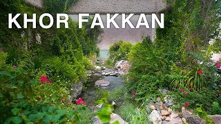 The Hidden Paradise of UAE - Hiking in Khor Fakkan