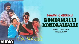 Kondamalli Kondaamalli Audio Song | Telugu Movie Maavi Chiguru | Jagapathi Babu,Aamani | SV KrishnaR