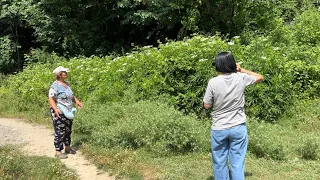 Zogas fshati i vetëm që ska telefon dhe internet.”Këtu ska asgjë.Valë kap në majë të malit.”