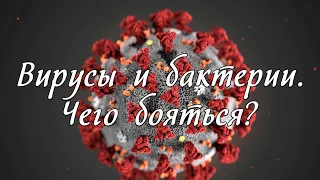 Вирусы и бактерии. Чего бояться?