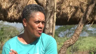 Vee's Organic Farm - Successful Fijian 2018