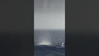 Waterspout dangerously close to our cruiseship!! #waterspout #tornado #watertornado #cruise