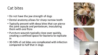 Bite Injuries by Dr Umar Farooq