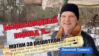 Безрасплодный период! В гостях у Василия Храмко!