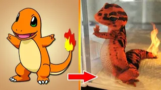 !بوكيمونات في الحياة الواقعية Pokémon