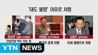 잇단 처형·혁명화...김정은 공포정치 언제까지? / YTN (Yes! Top News)