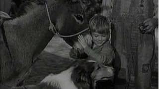 Lassie - Episode #107 -"The Burro" - Season 4, Ep 4 - 09/29/1957