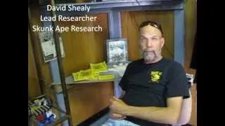 Skunk Ape - Myth or Reality?