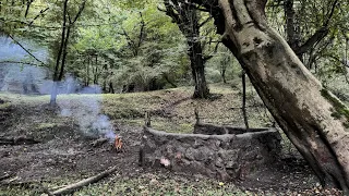 Survival & Building Stone Bushcraft shelter With One Knife, Edible Mushrooms, Outdoor Cooking(part1)