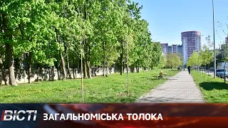 Загальноміська толока 2024